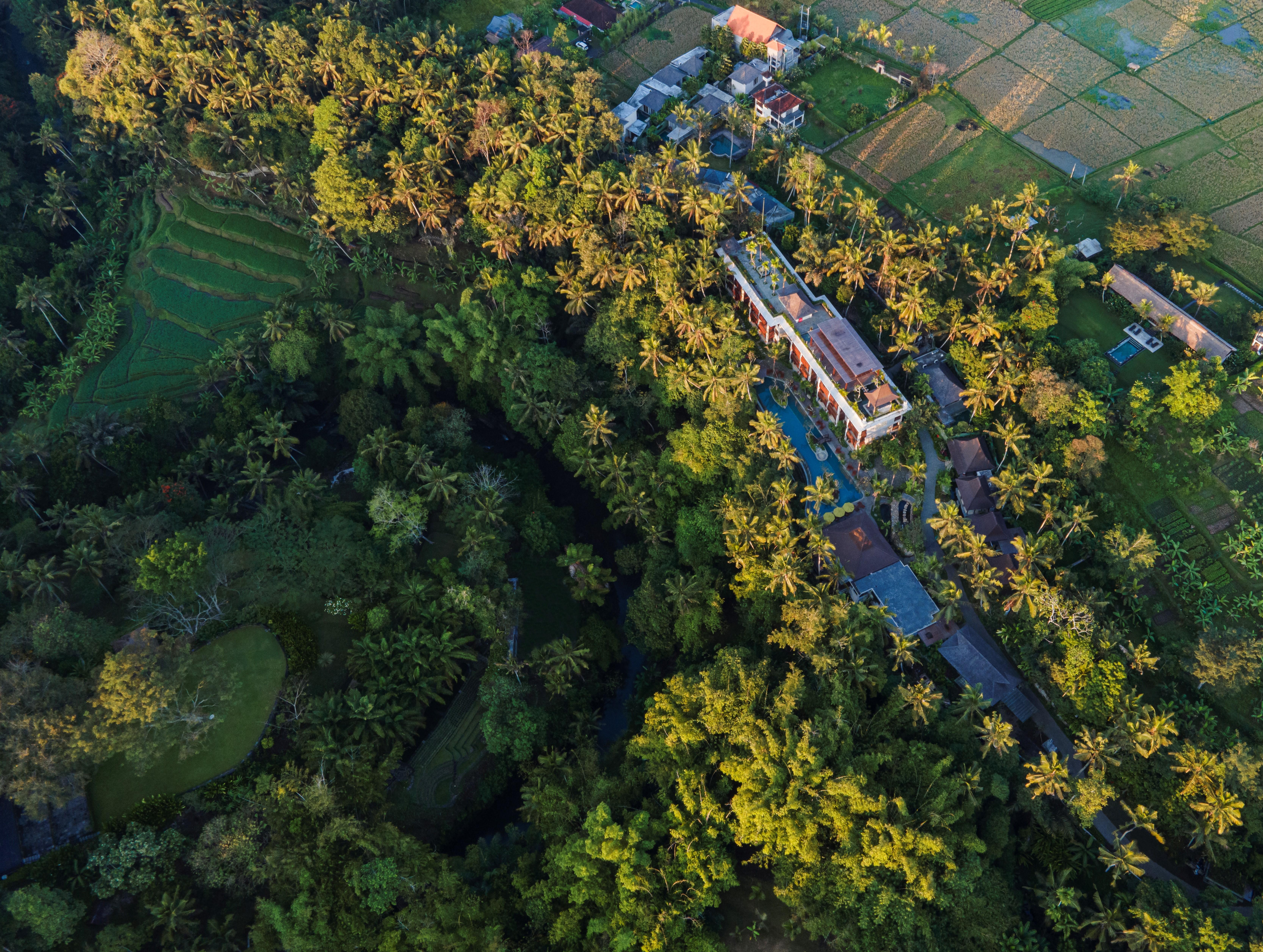 Arkamara Dijiwa Ubud Zewnętrze zdjęcie